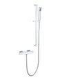 Pure Bar Shower and Slider Rail Kit